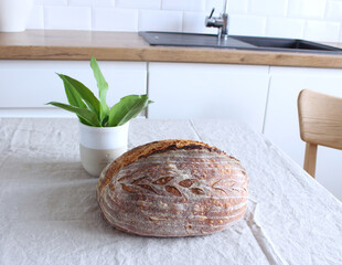 Spring delicacy. Freshly baked bread and young leaves of wild garlic on the kitchen table. Healthy snack. Fresh, crunchy, salty, and tasty.