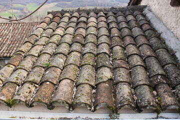Toiture à nettoyer, avec mousses et lichens