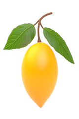 orange fruit isolated on white