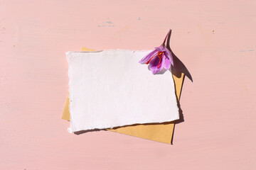 Crocus sativus, commonly known as saffron crocus it is among the world's most costly spices by weight. Beige table background in sunlight. Food concept. Long, harsh shadows. Flat lay, top.