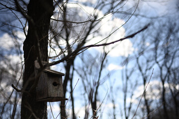 森に設置された鳥の巣箱