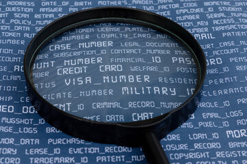 A symbolic representation of cybersecurity threats, featuring a magnifying glass highlighting...