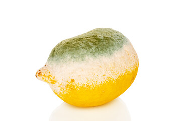 One lemon with mold, close-up, isolated on white background.