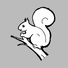 squirrel on a branch