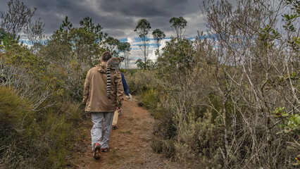 People are walking along a red soil  dirt track. A ring-tailed catta lemur sits on a man's shoulder. A long striped tail hangs down. Tall grass on the sides of the path. Clouds in the sky. Madagascar. © Вера 