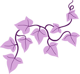 ivy plant drawing illustration.
