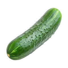 cucumber isolated on white background	