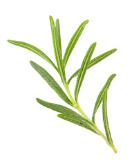Obraz premium Fresh rosemary isolated on a transparent background.