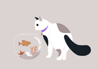 A sleek cat, adorned with a collar, intently gazes at a glass aquarium filled with vibrant fish, starfish, and colorful decor, set against a gentle pastel background, evoking a home atmosphere
