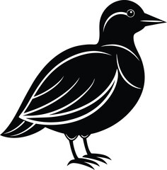 duck silhouette vector isolated on white background