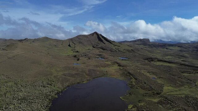 PARAMO HIRVA