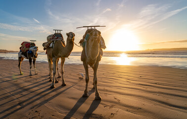Views around Essaouira a port town in Morocco Sunset