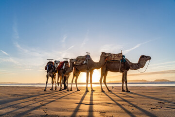 Views around Essaouira a port town in Morocco Sunset