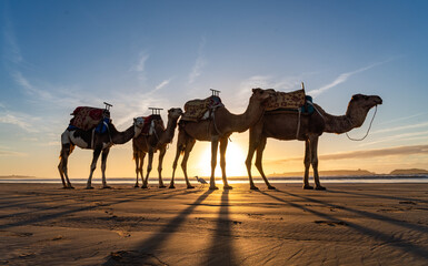 Views around Essaouira a port town in Morocco Sunset