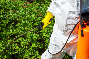 Farmer wearing protective clothing and gloves spraying vegetables with glyphosate herbicide,...
