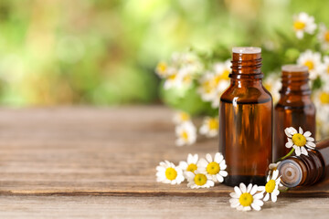 Bottles of essential oil and chamomile flowers on wooden table, closeup. Space for text