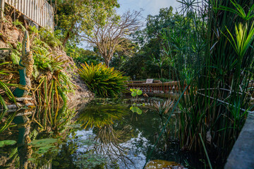 Serene pond with lily pads at Kao Hua Jook Pagoda Temple in Ko Samui features a curved walkway with decorative balustrades, surrounded by tropical plants