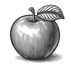 Apple with Leaf vector illustration