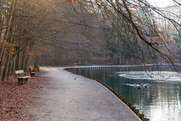 Tranquil lakeside path at Stempflesee, Augsburg, Germany – February 19, 2025..