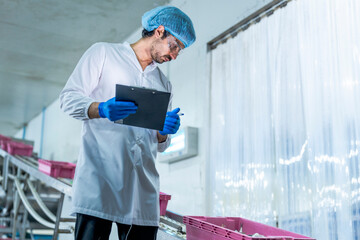 supervisor in protective gear, inspecting fish in a pink crate fish sea food at food processing...