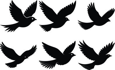 Obraz premium vintage flying bird silhouette set, drawing birds black silhouette