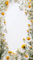 Fototapeta premium Bright yellow and white wildflowers scatter around a blank area, creating a clean, serene frame with a white backdrop, ideal for text or creative use in a minimal style