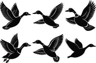 Obraz premium Flying Duck Silhouettes set, Duck silhouette vector icon
