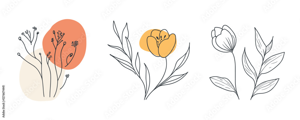 Poster minimalist botanical illustrations with colorful accents and simple line designs. vector