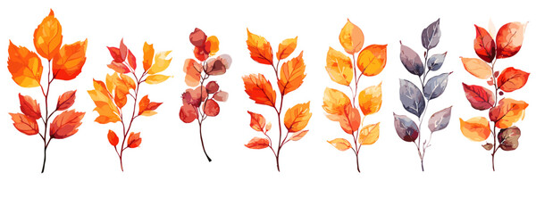 Watercolor autumn leaves collection on white background displaying fall foliage. Vector