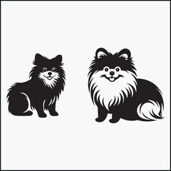 Obraz premium Pomeranian dog 