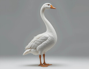 Obraz premium Quacking Joy: Duck