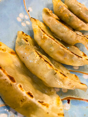 A plate of dumplings with a blue background