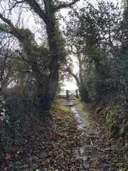 Gateway in a Cornish rural Landscape.
