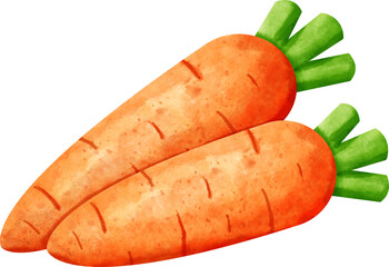 watercolor carrot