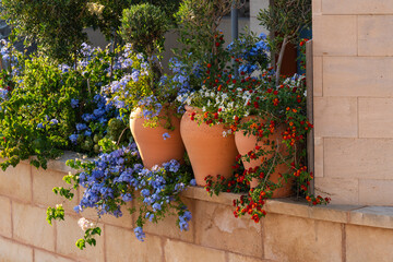 Bright, colorful flowers in pots outside house. Port de Soller, Mallorca. Mediterranean summer...