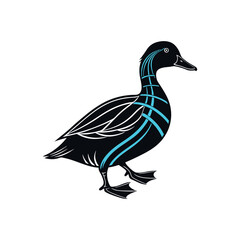 Black duck with blue strips