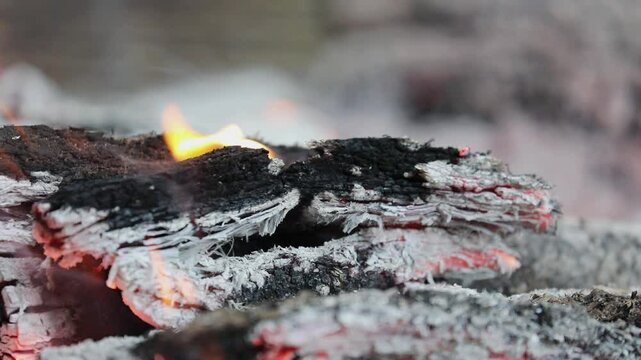 Flames Leaping From a Smoldering Campfire