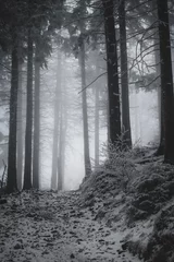 frozen trees and winter landscape covered in snow and fog when hiking in czech mountains © Lucie