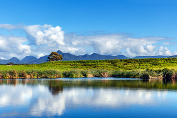 Fototapeta premium Breath-taking views of open green pastures and the distant Tsitsikamma Mountain with reflection in the Storms River, Blue Lilies Bush, South Africa.
