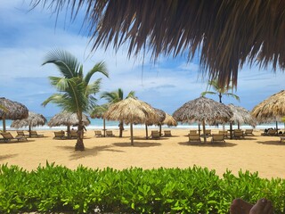 tropical beach with palm trees