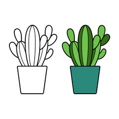 Cactus vector illustration