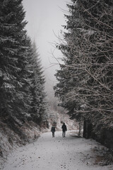 frozen trees and winter landscape covered in snow and fog when hiking in czech mountains