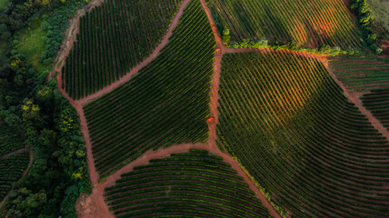 Fototapety na wymiar - Fototapeta24.pl