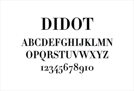 Didot font for logo and headline. Isolated vector typeset