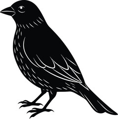 Bird silhouette vector illustration, flying bird design, wildlife, bird icon, nature theme, bird vector, animal silhouette, free bird design, isolated vector art.