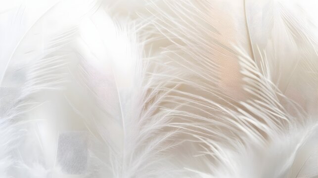 Feather Background" Images – Browse 4,745 Stock Photos, Vectors ...