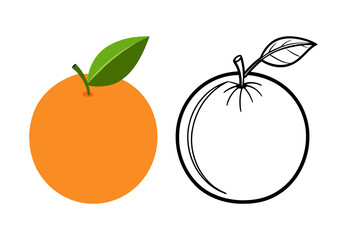 Detailed Illustration of Orange Fruit: Colored and Outline Versions