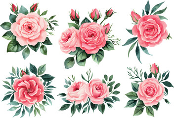 Watercolor roses flowers, leaves. Elegant Watercolor Floral Bouquets.