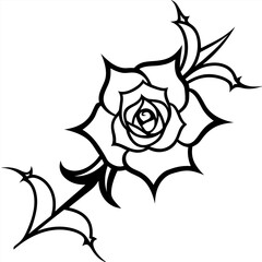 black and white rose