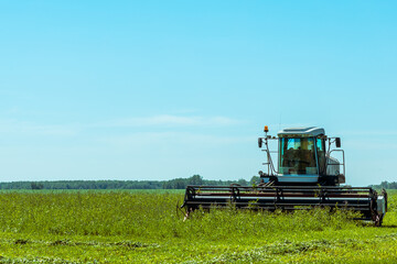 Fototapeta premium A tractor is driving through a field of grass